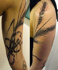 Demeter’s wheat bundle for soft strength