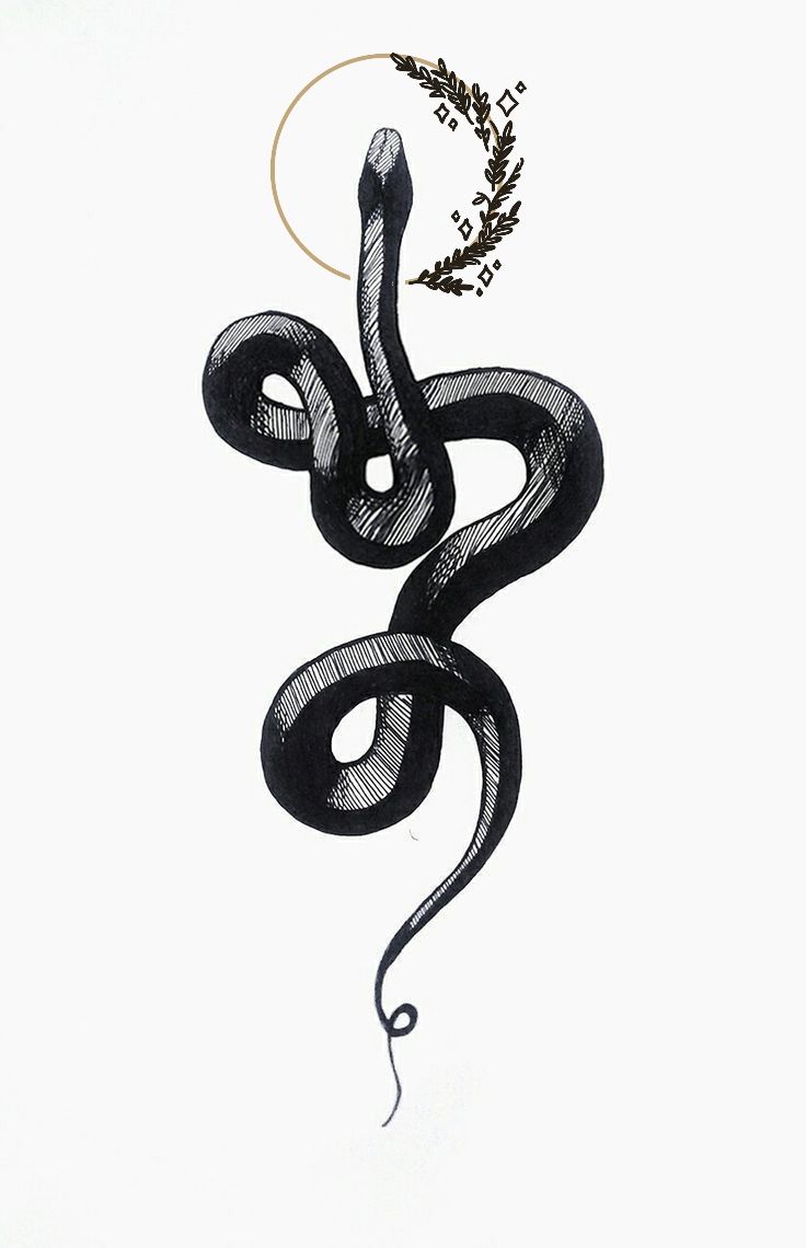 A snake with a crown that owns the room