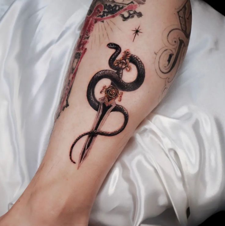 A snake wrapped around a dagger
