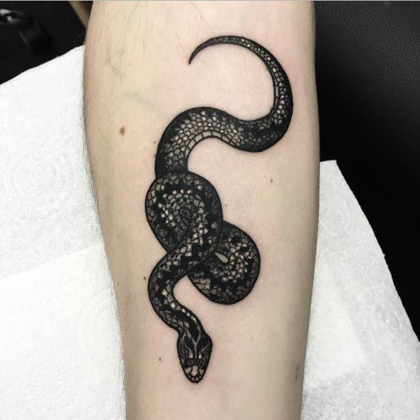 A coiled snake that looks ready to strike