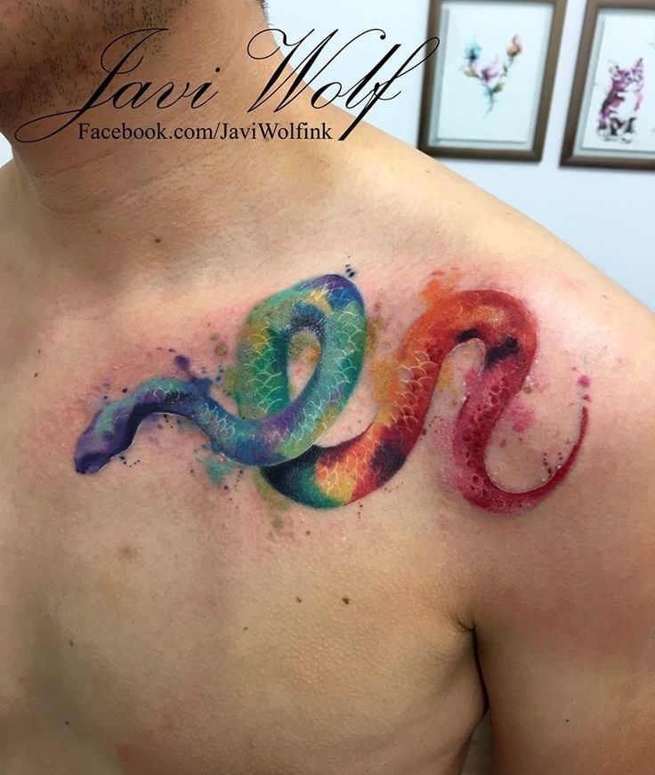 A snake in watercolor that looks like it’s in motion