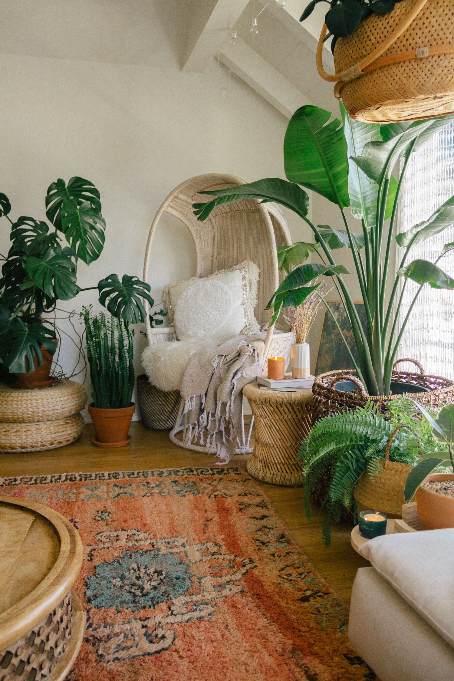 One giant plant that makes the room feel alive