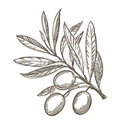 Athena’s olive branch that’s more “peace through power”