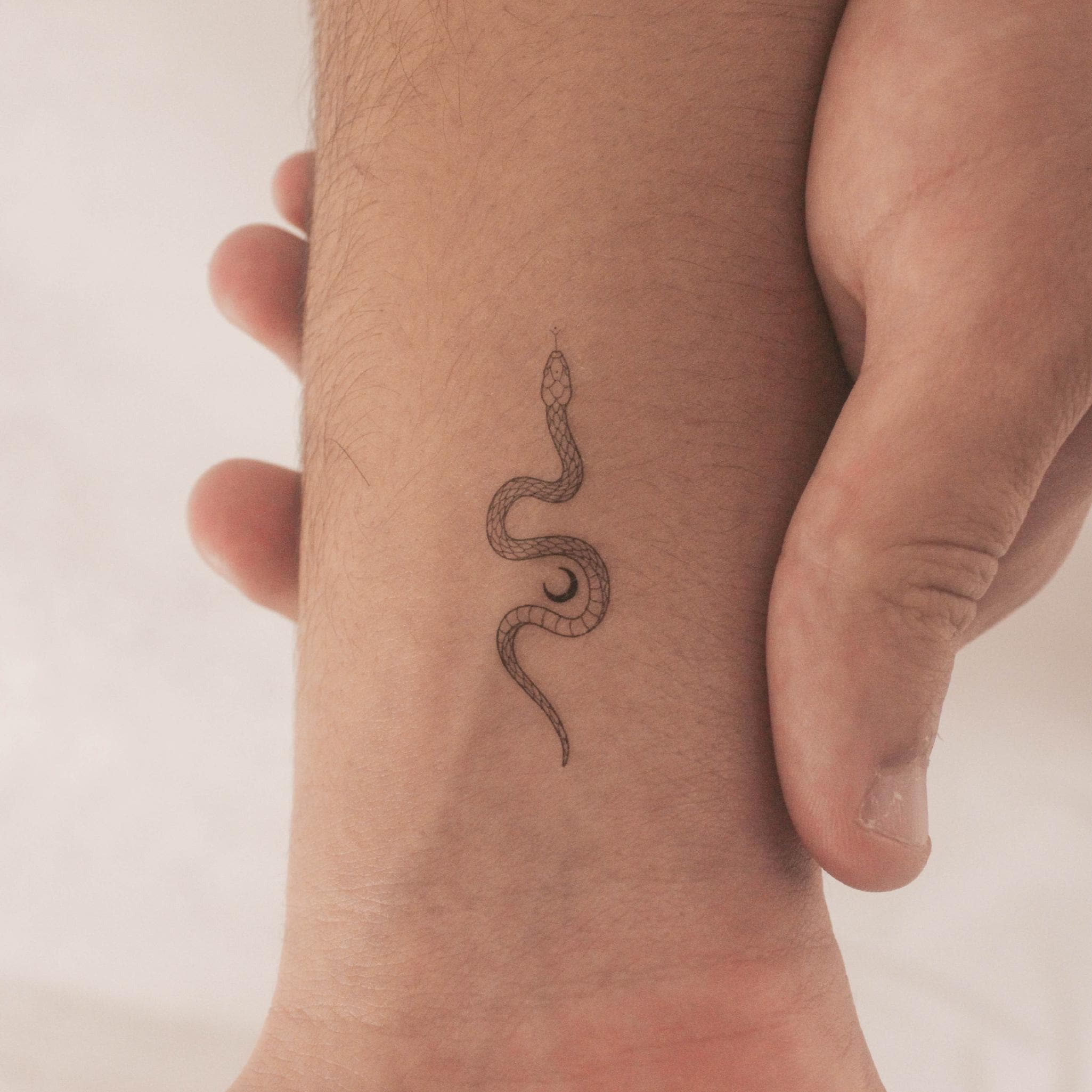 A fine-line serpent that feels like jewelry