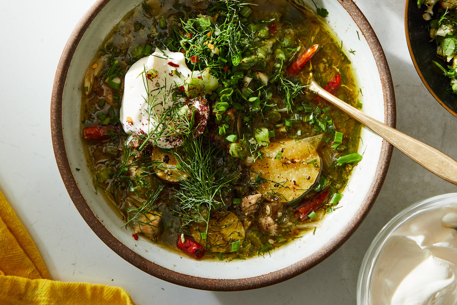 Chicken and Fennel Soup