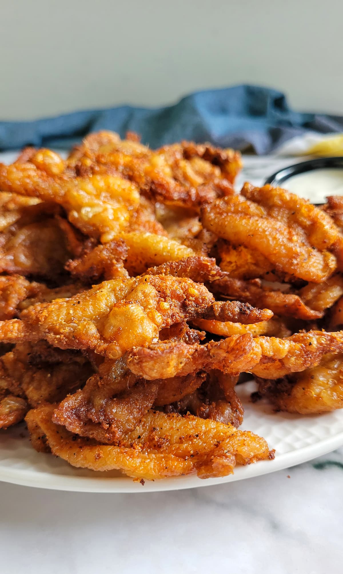 Crispy Pan Fried Chicken