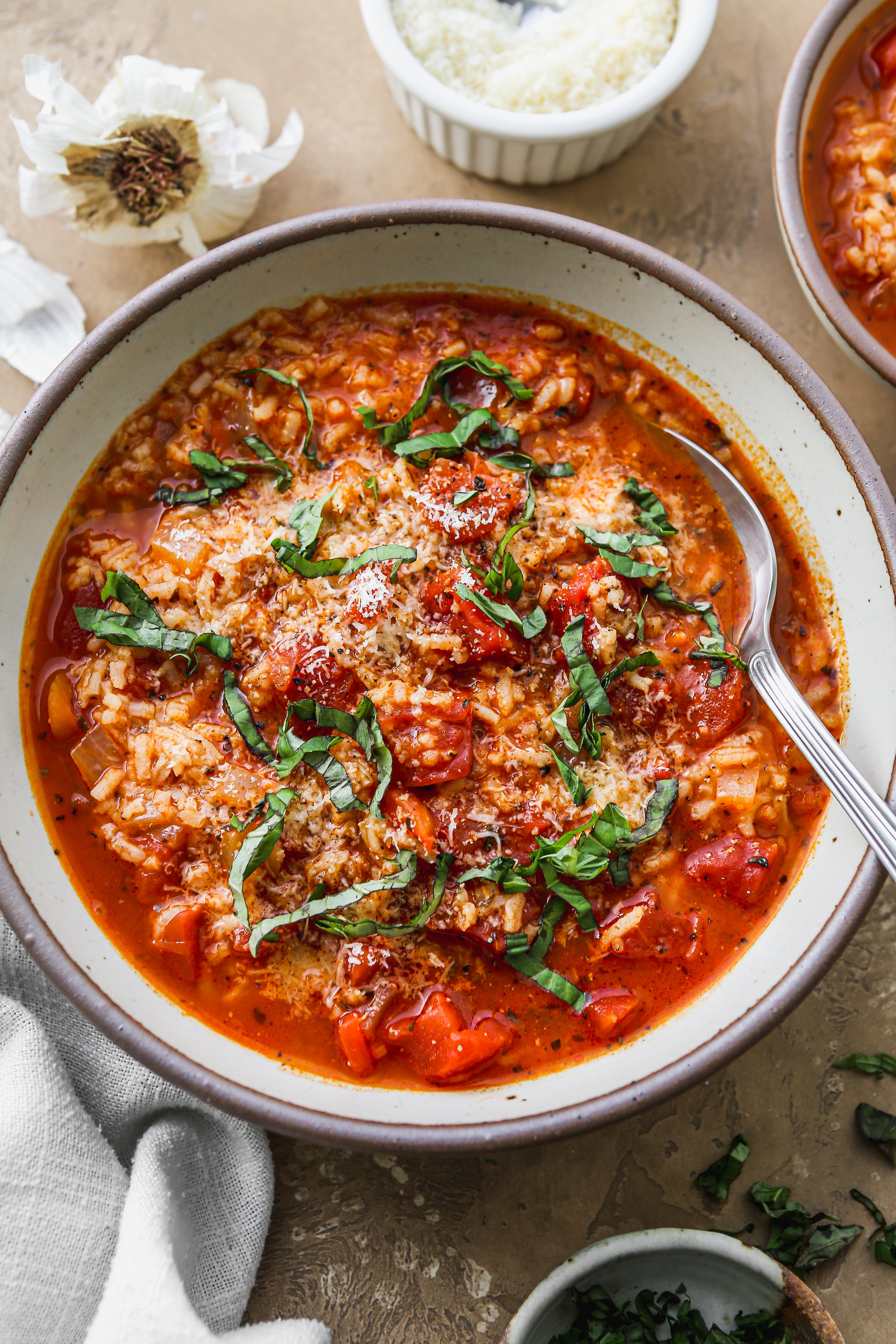 Tomato Wild Rice Vegetable Soup