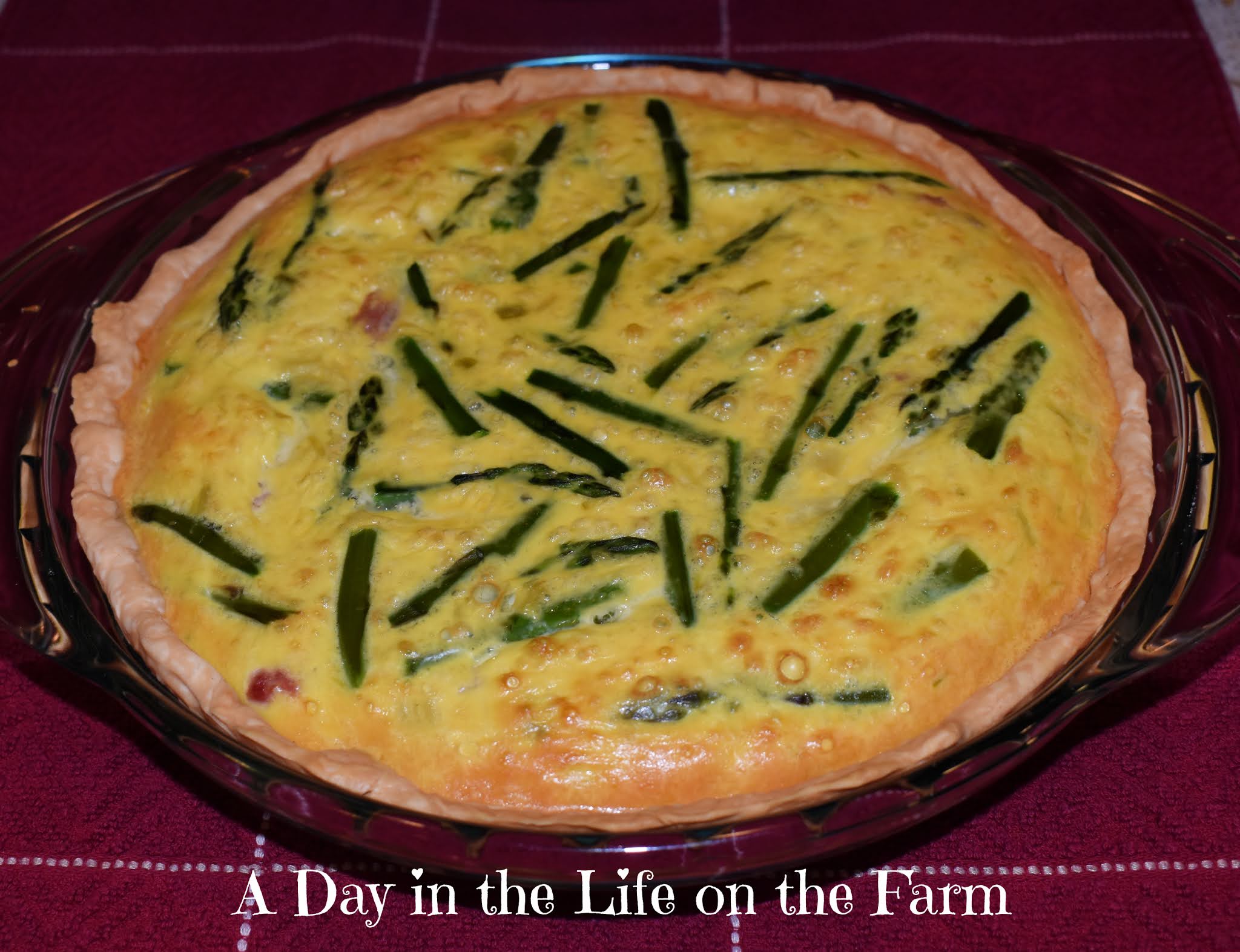 Cream of Asparagus Quiche