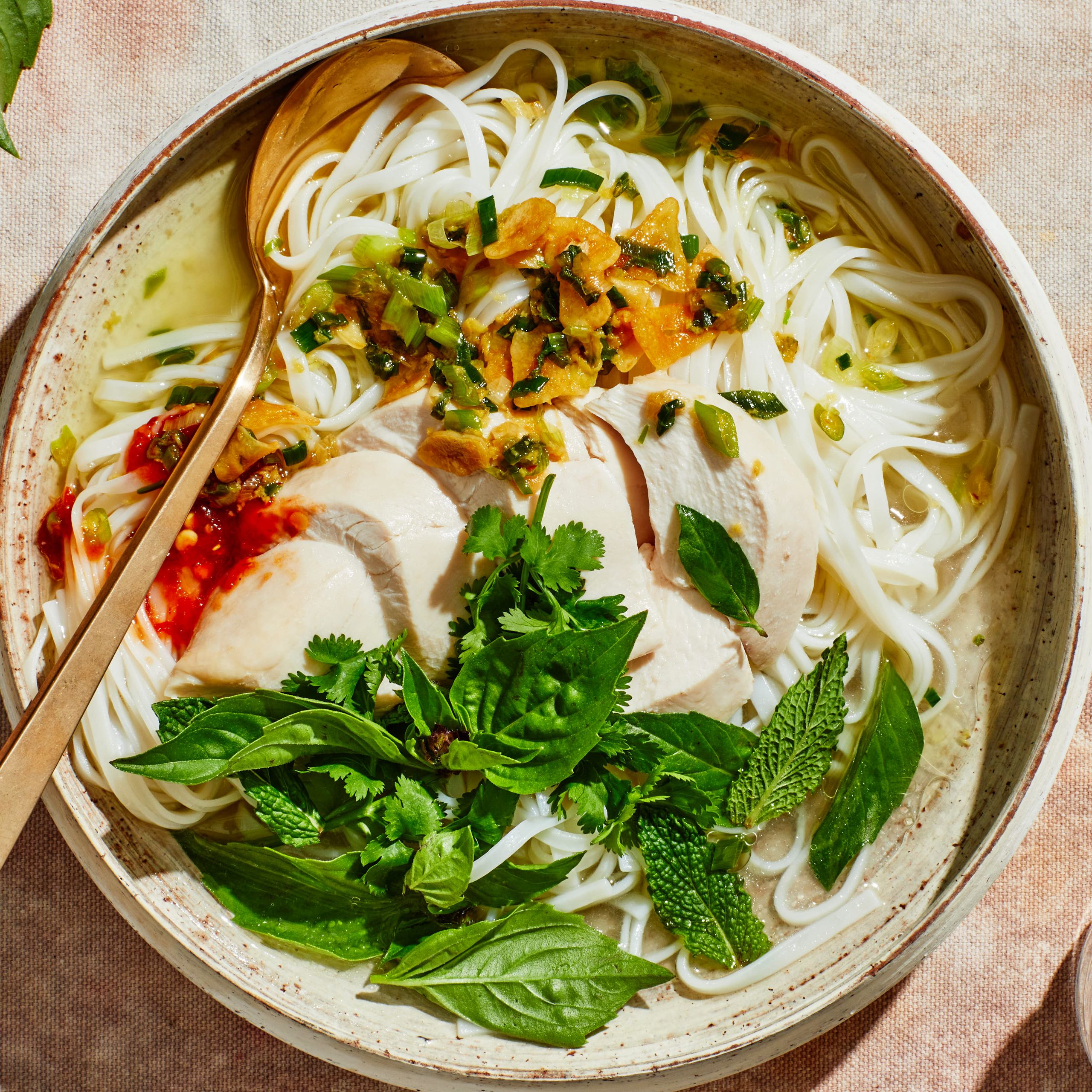 Charred Scallion Chicken Noodle