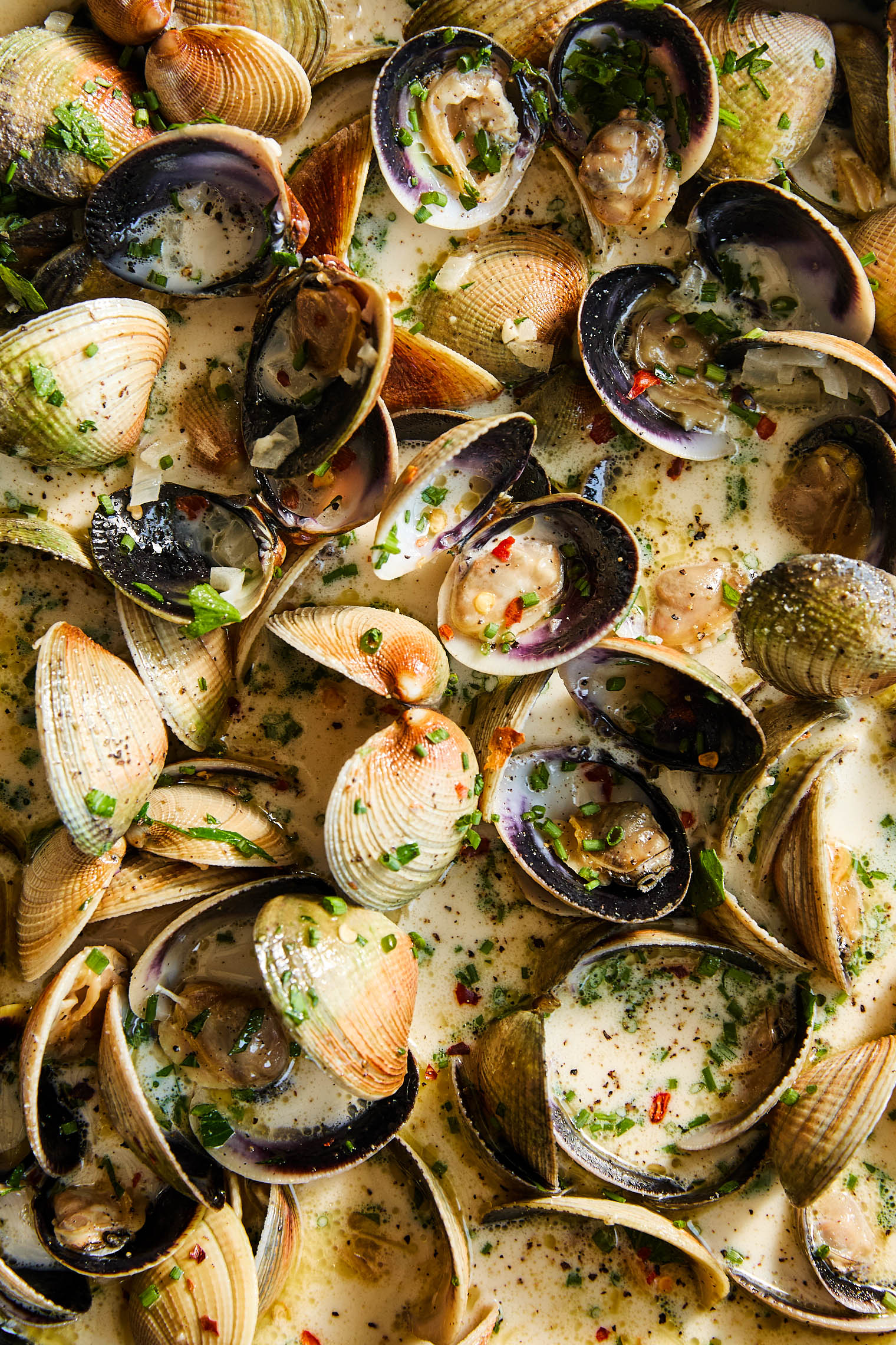 Clams with Garlic White Wine Broth