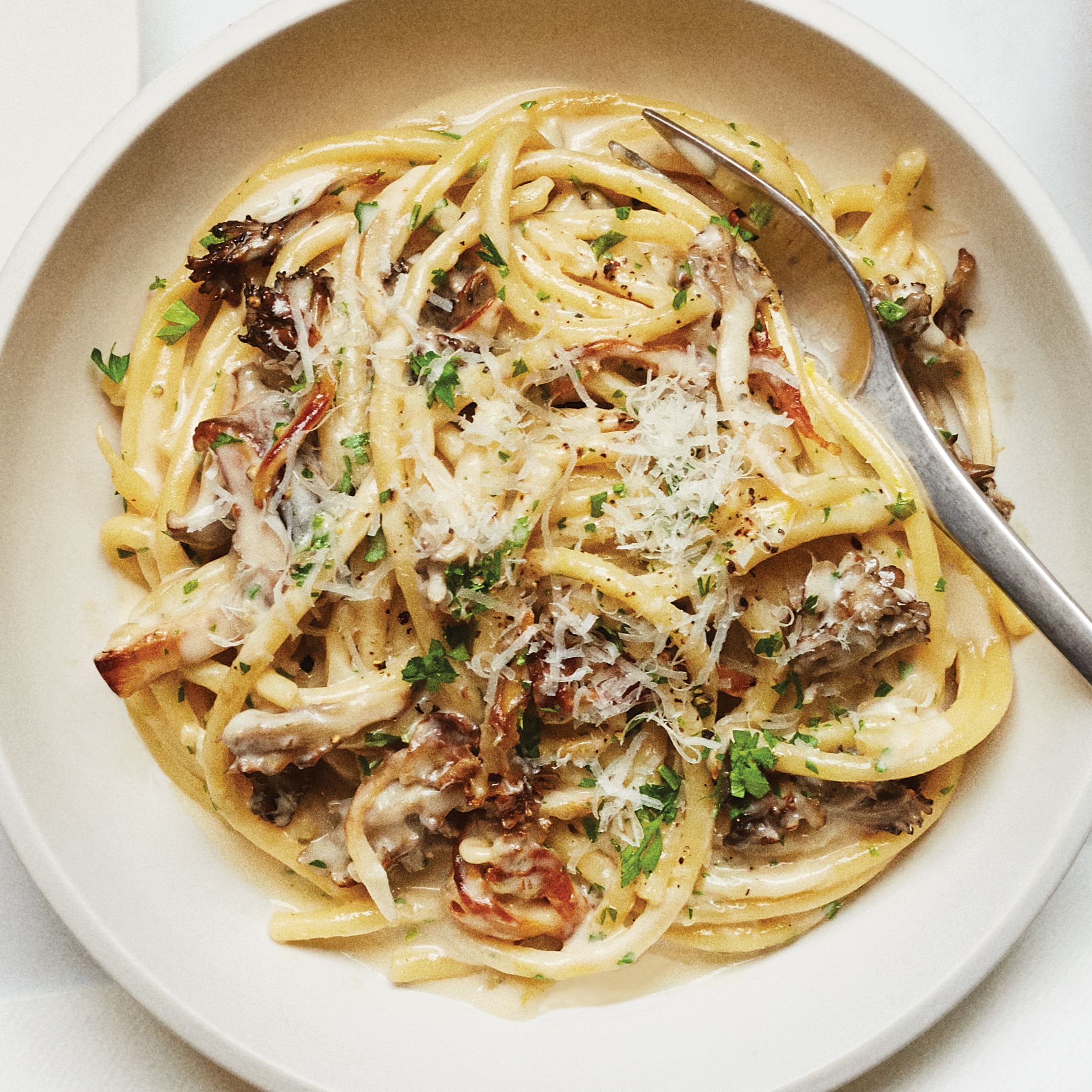 Creamy Mushroom Ziti
