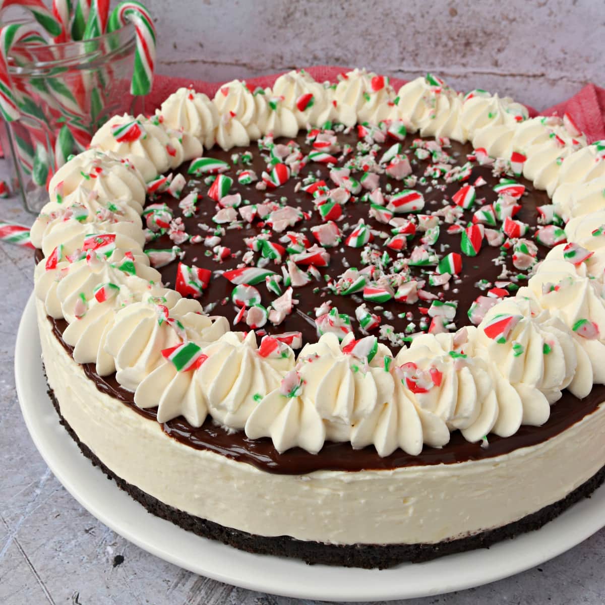 Chocolate Candy Cane Cheesecake