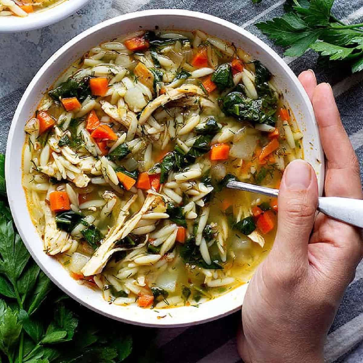 Greek Orzo Chicken Soup