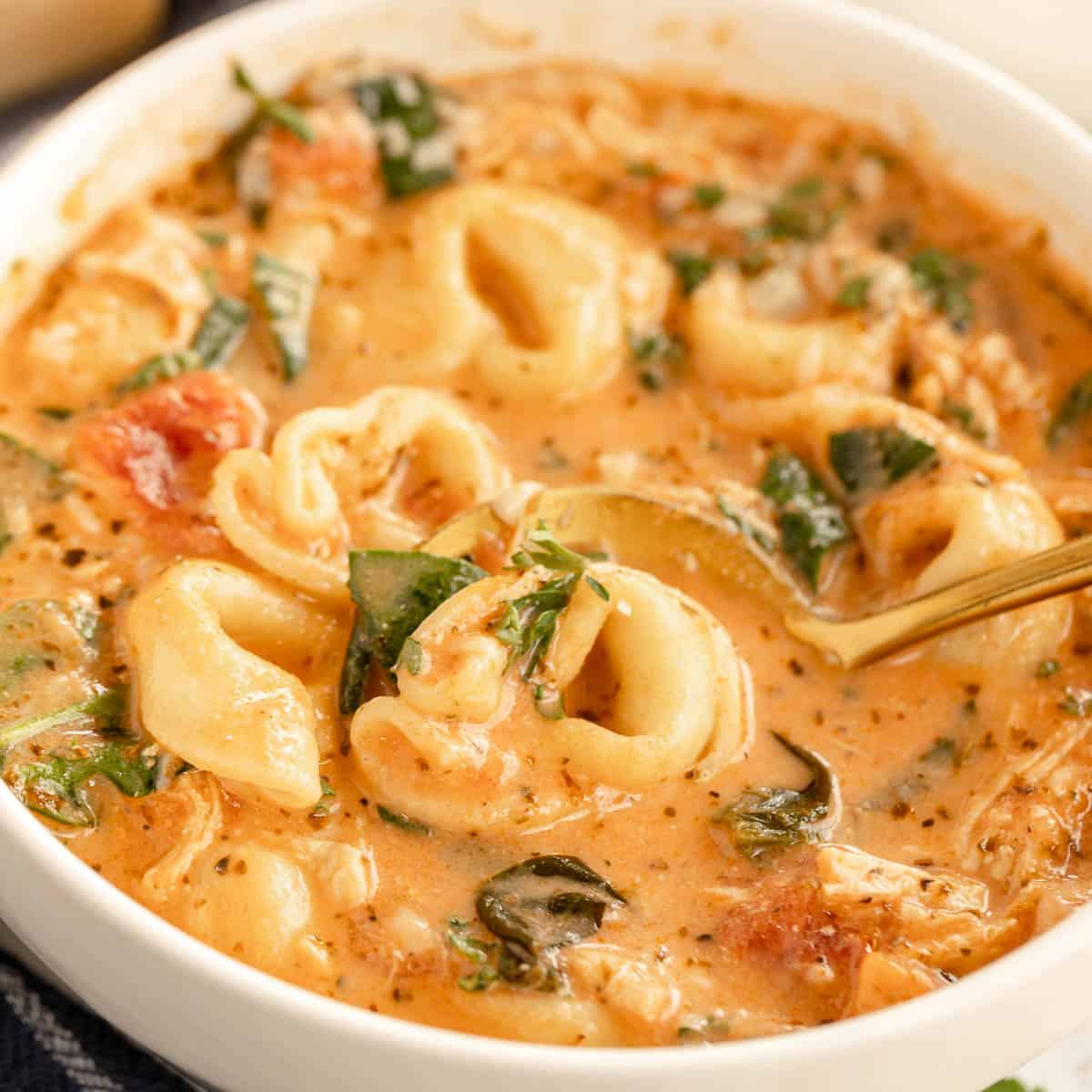 Tortellini Creamy Chicken