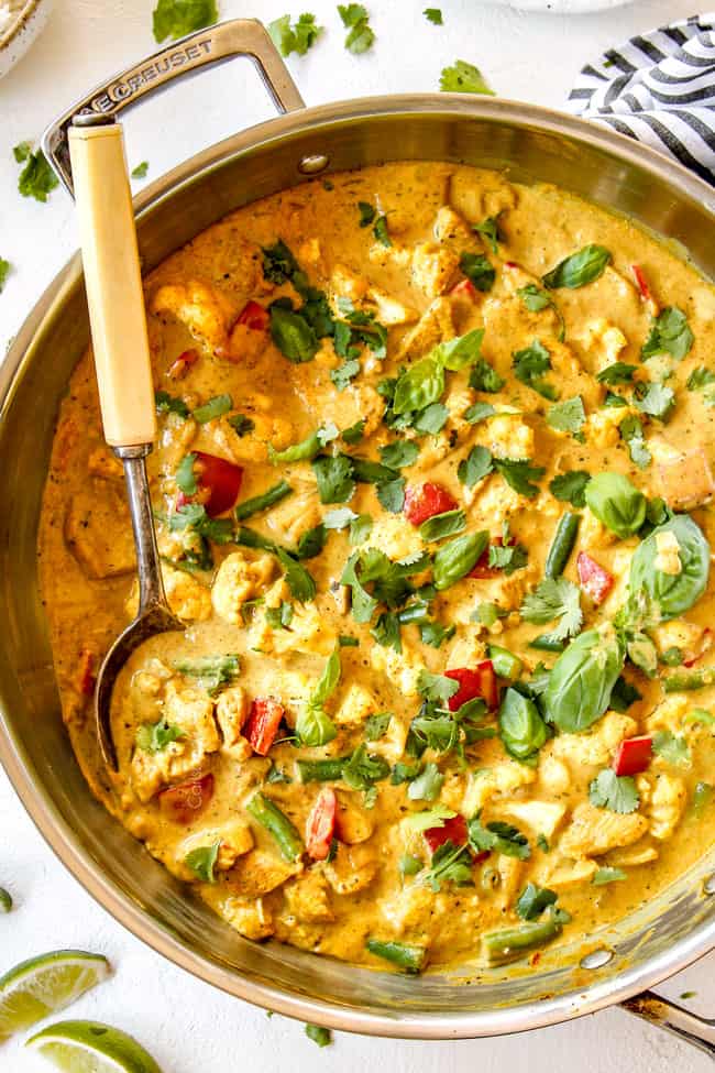 Mild Coconut Curry Chicken for Kids