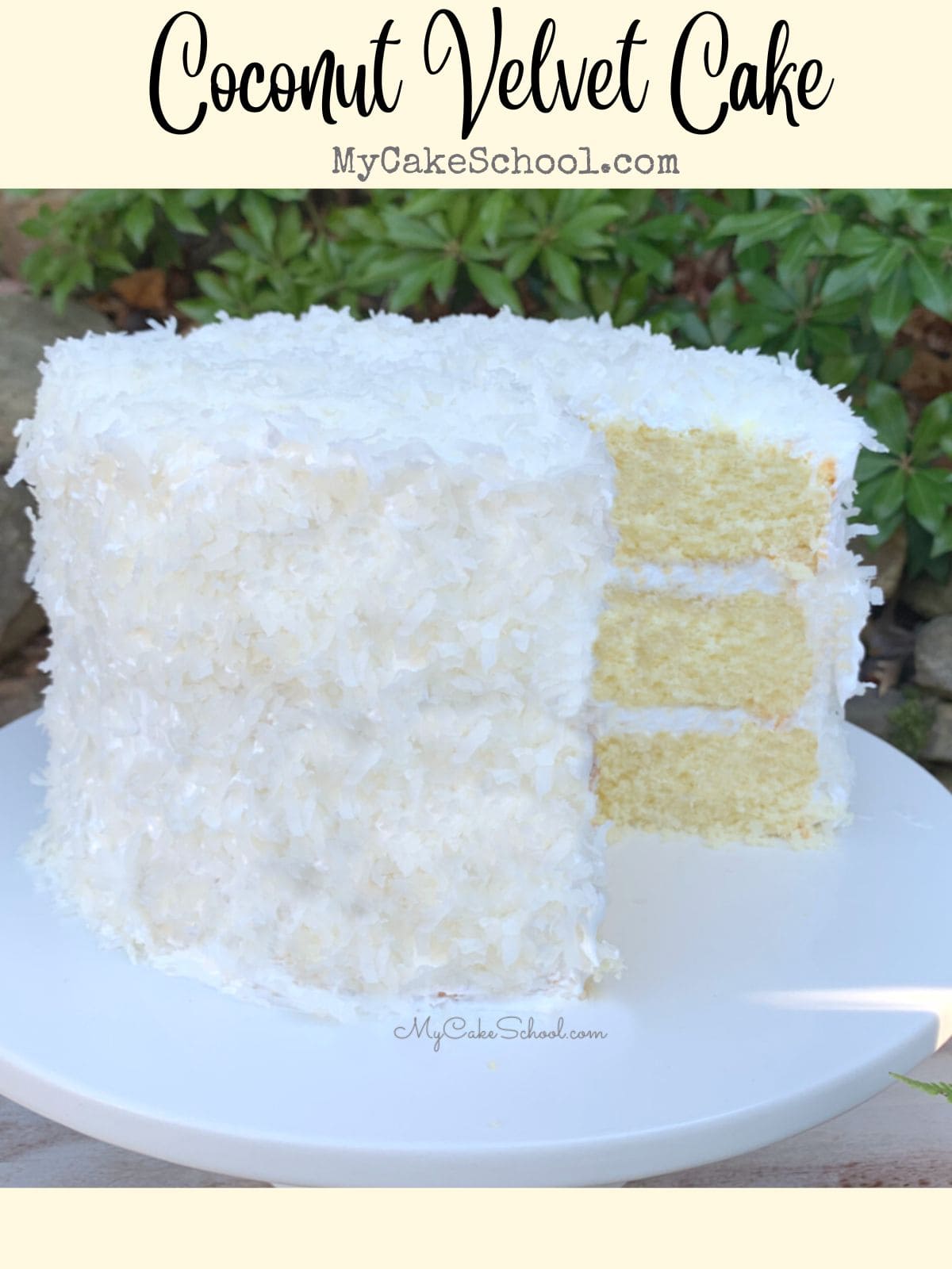 Coconut Velvet Cake