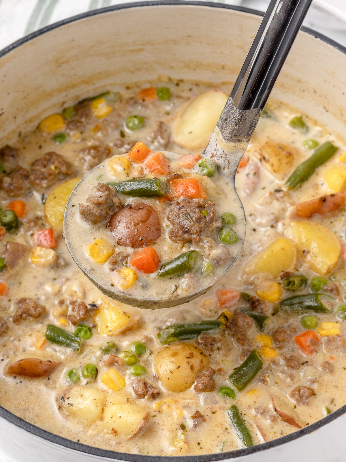 Creamy Beef and Vegetable Soup