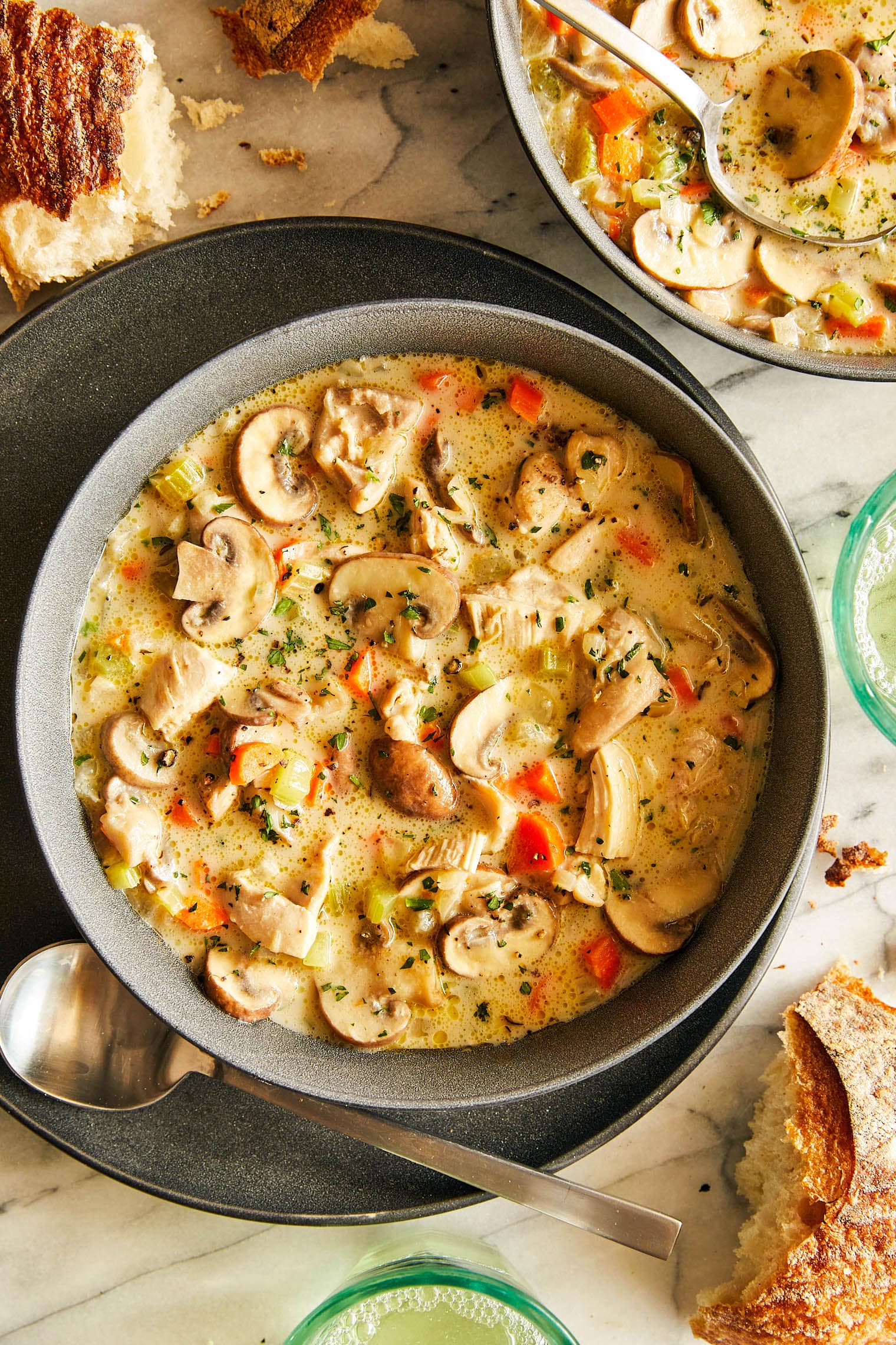 Creamy Mushroom Chicken Soup