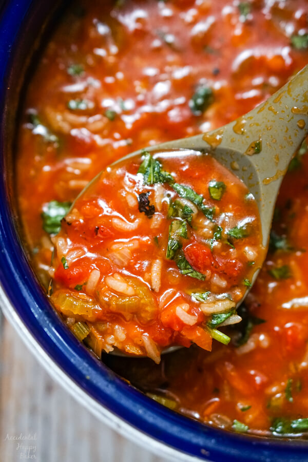Tomato Vegetable Rice Soup