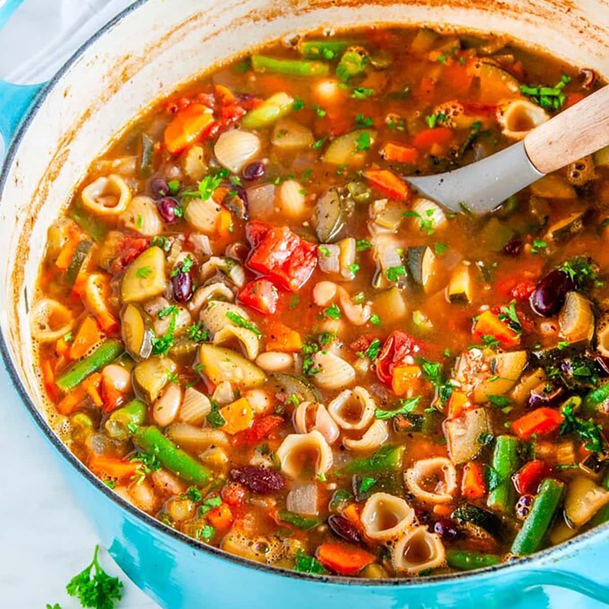 Minestrone Garden Abundance