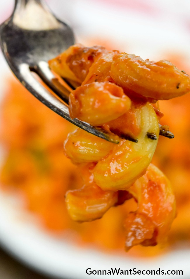 Cavatappi with Spicy Tomato Cream