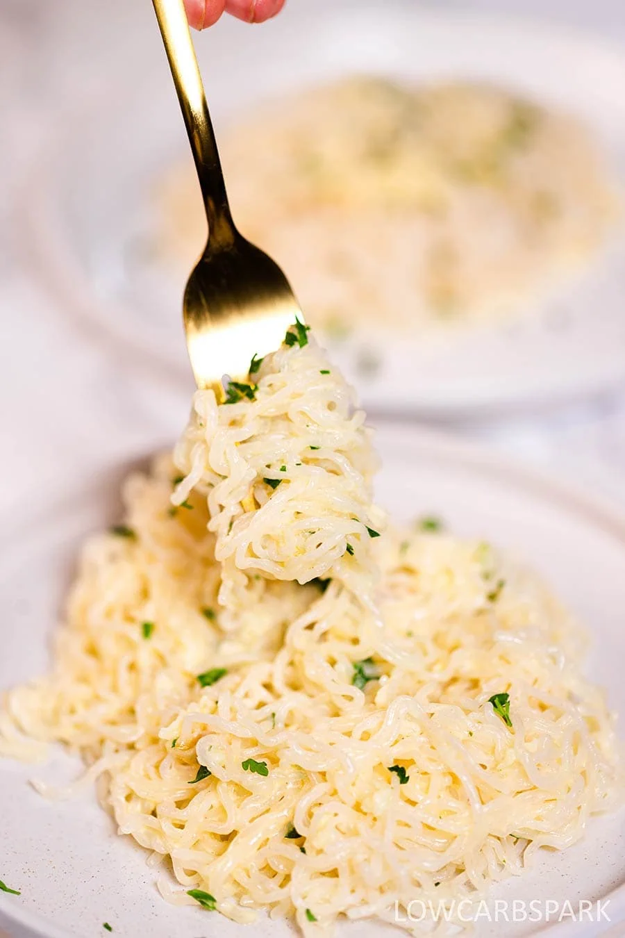 Shirataki Noodles with Garlic