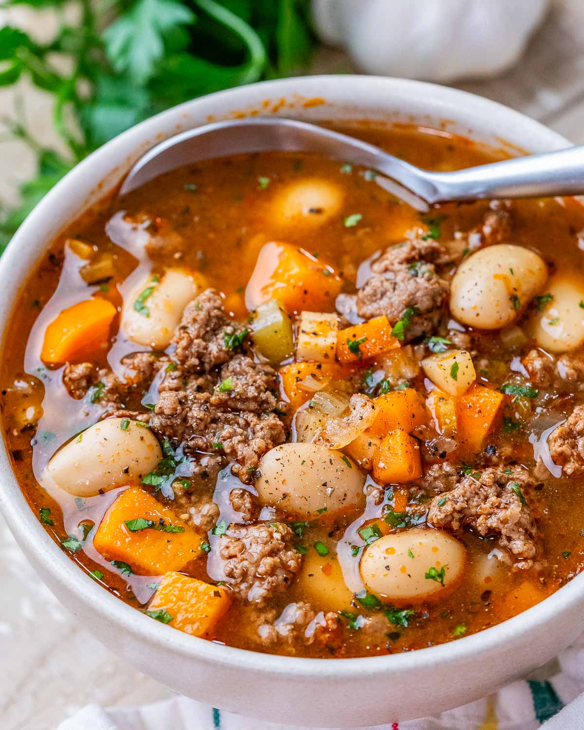 Beef Vegetable Bean Soup