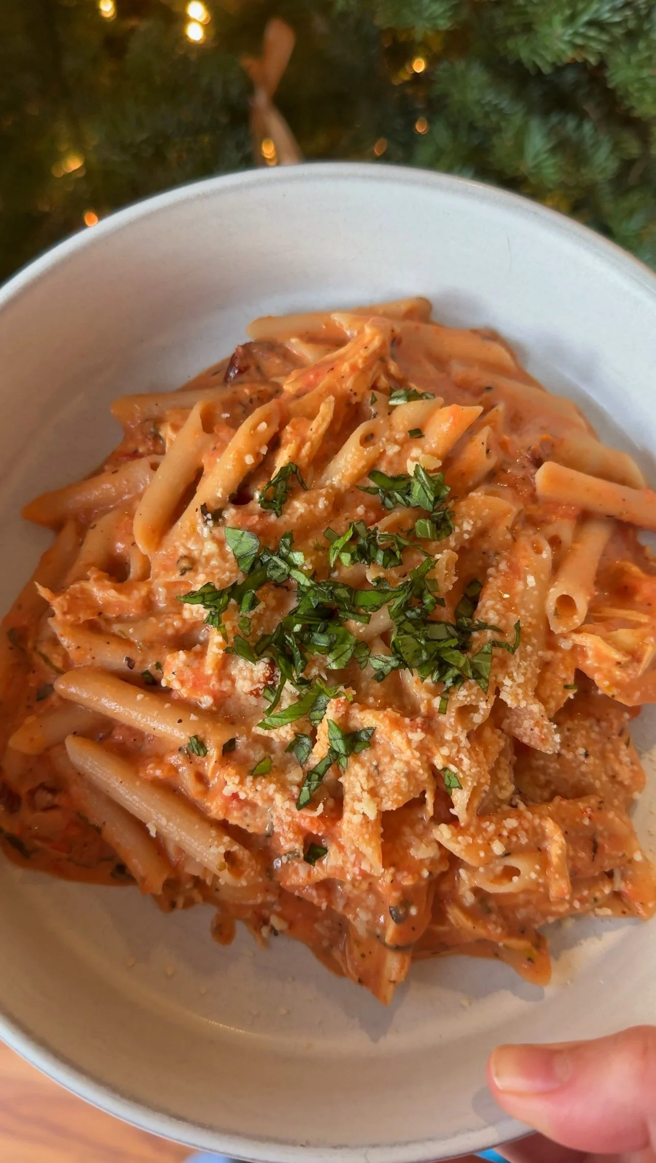 Creamy Tomato Basil Pasta