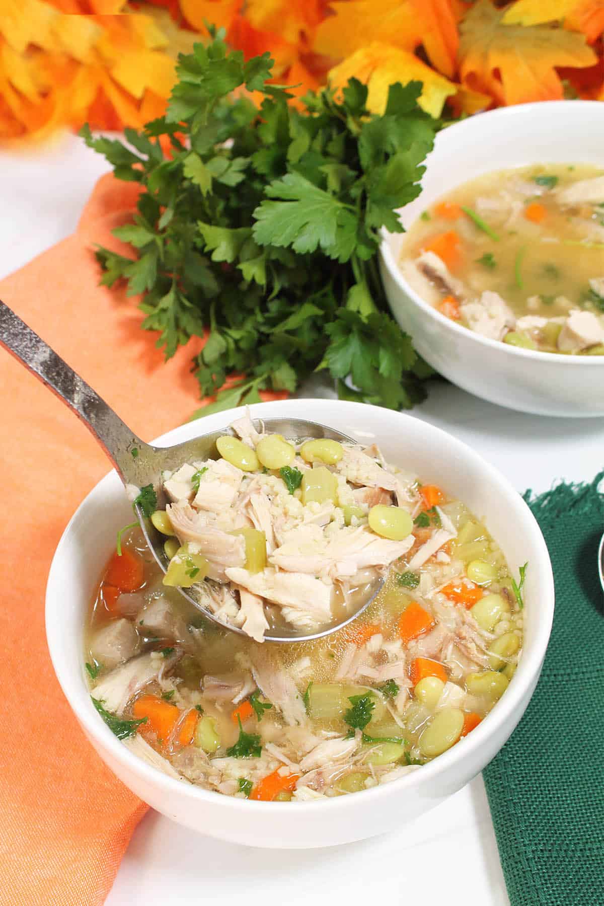 Pastina with Turkey and Vegetables