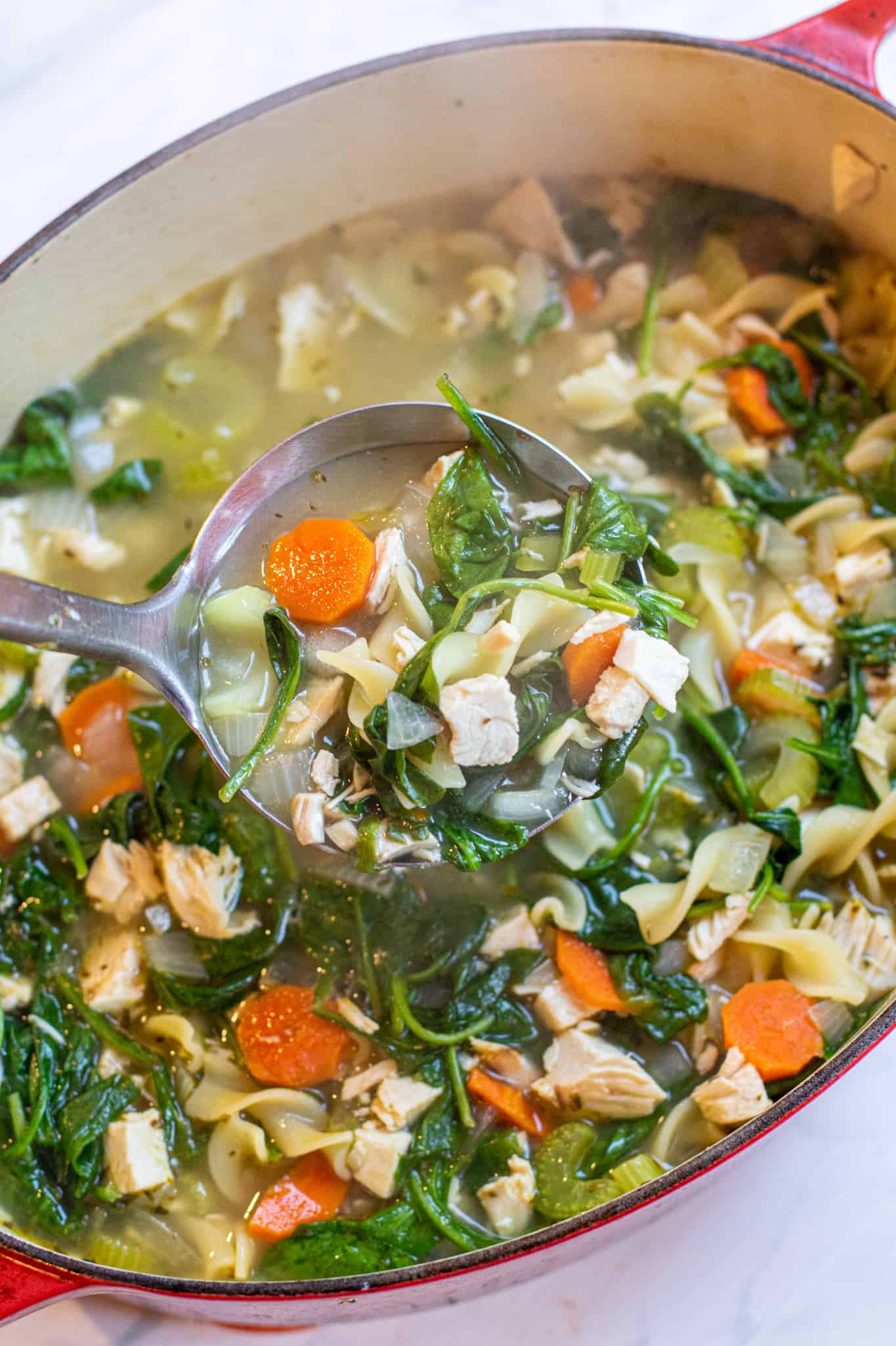 Celery Spinach Turkey Soup