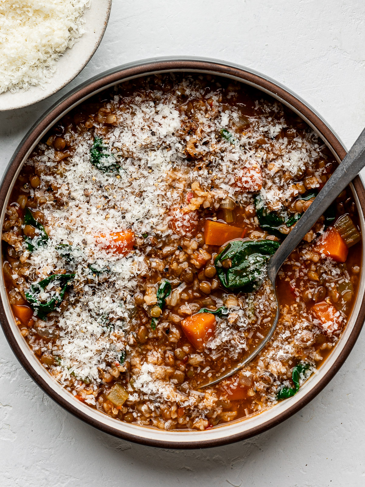 Lentil Soup with Brown Rice