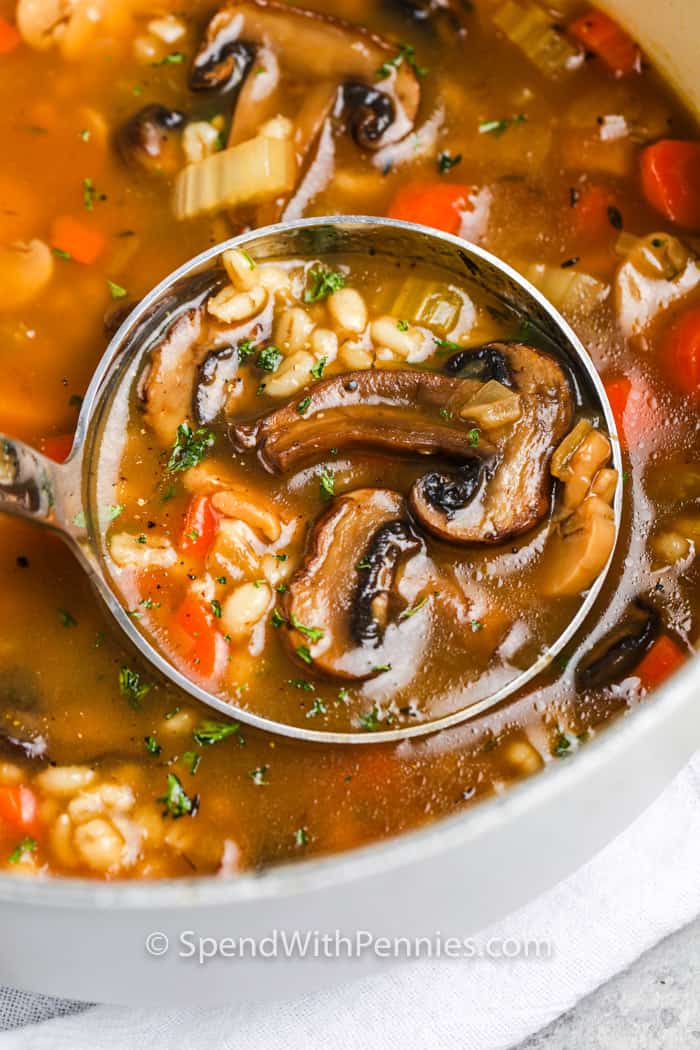 Wild Mushroom Barley
