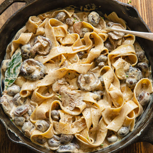 Mushroom Stroganoff Pasta