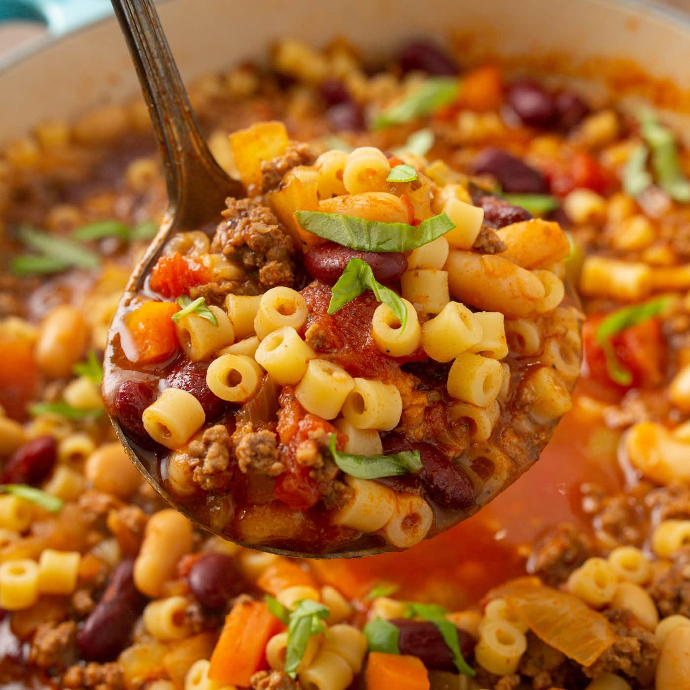 Beef and Pasta Fagioli