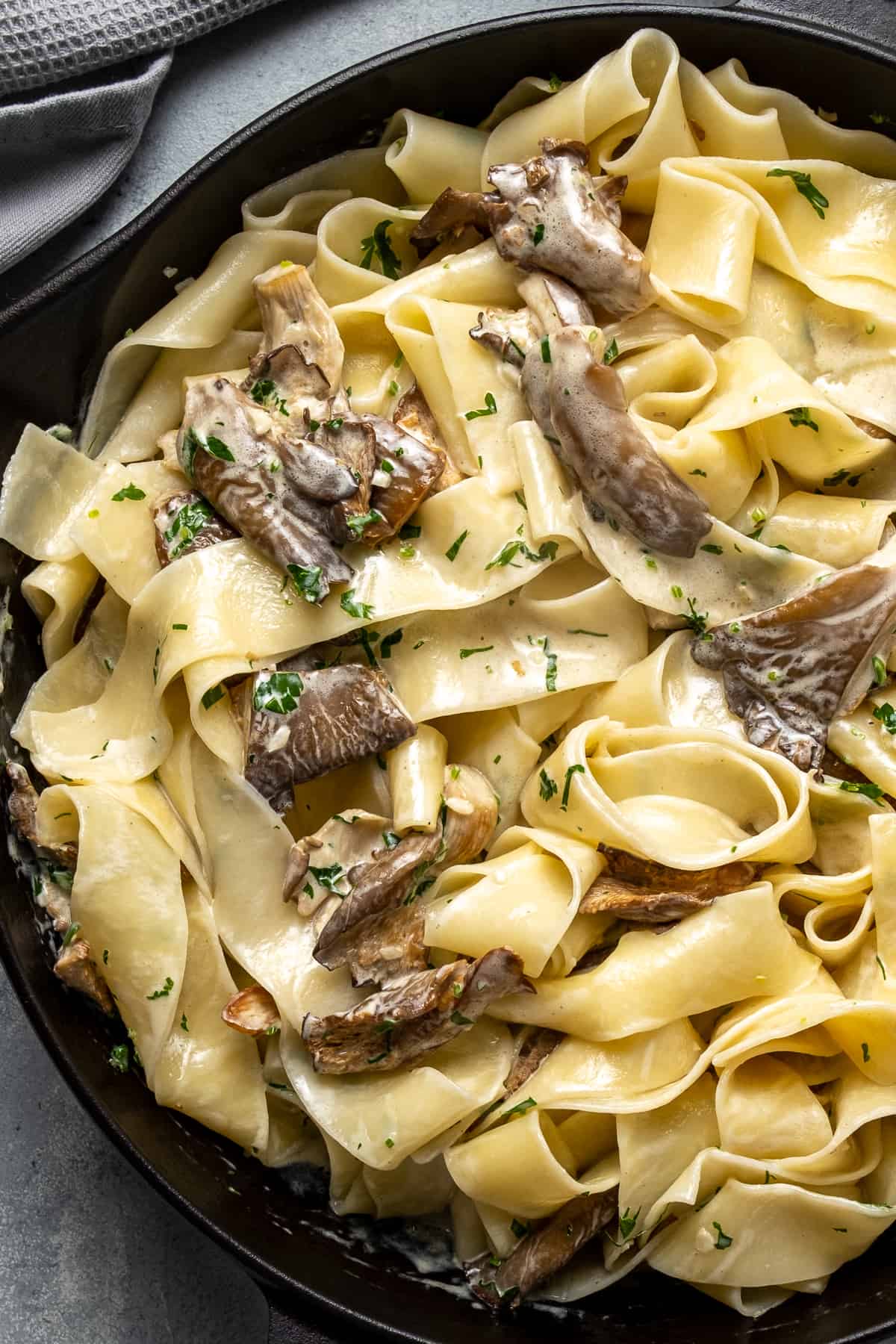 Oyster Cream Pasta