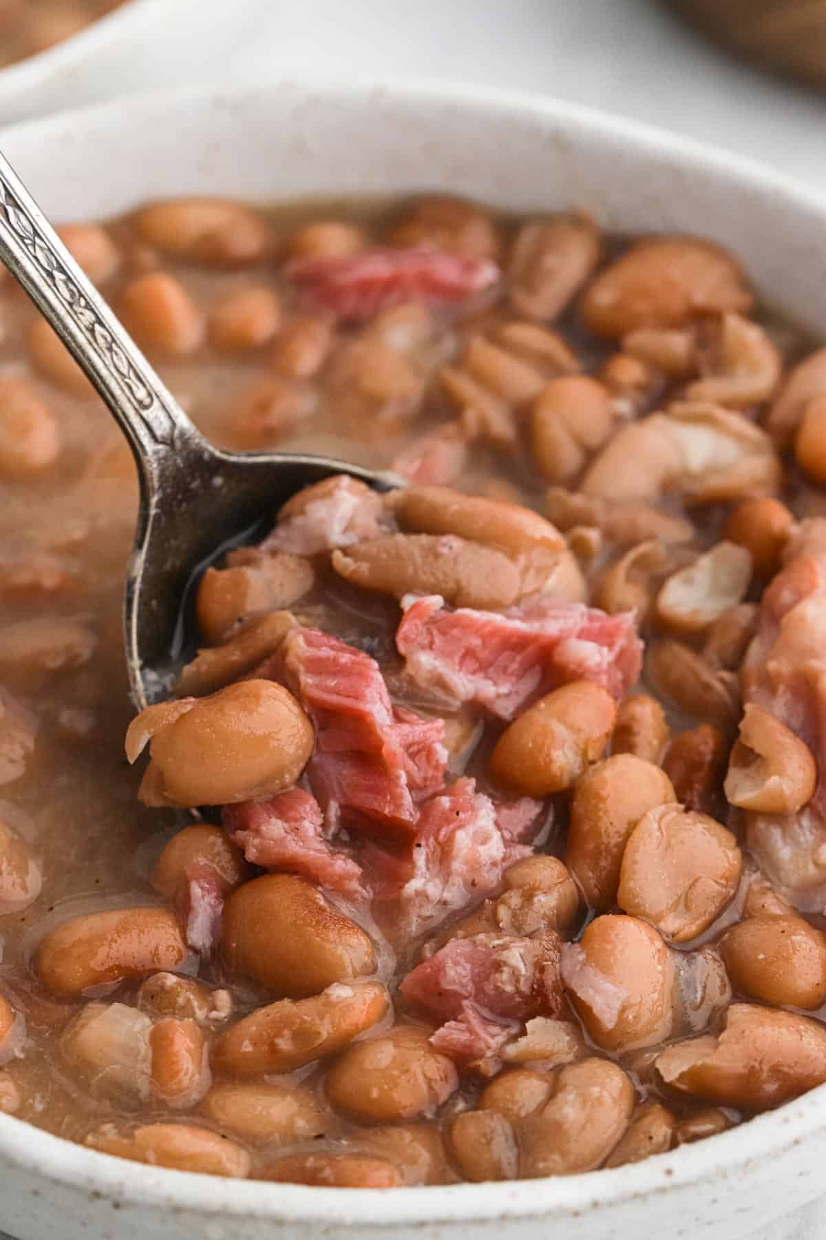 Pinto Bean Soup with Ham Bone