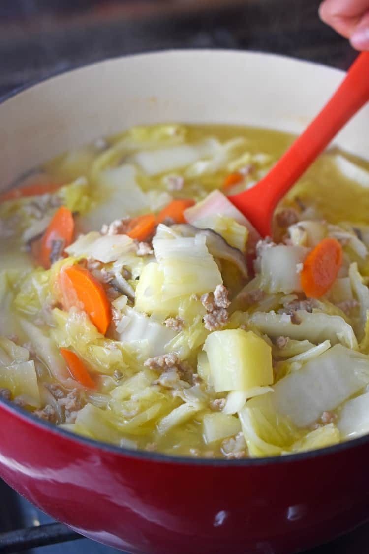 Cabbage and Ground Pork Soup