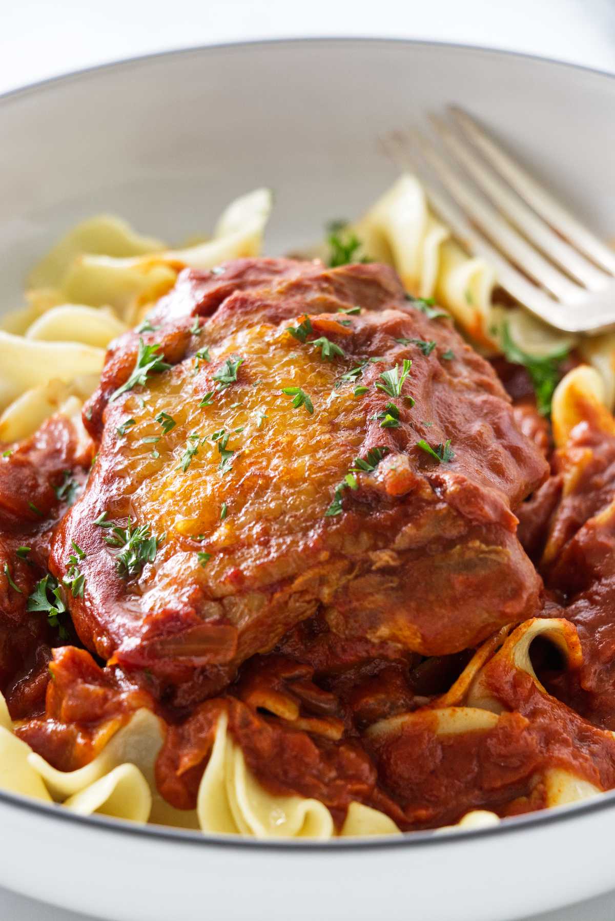 Chicken Paprikash Noodles