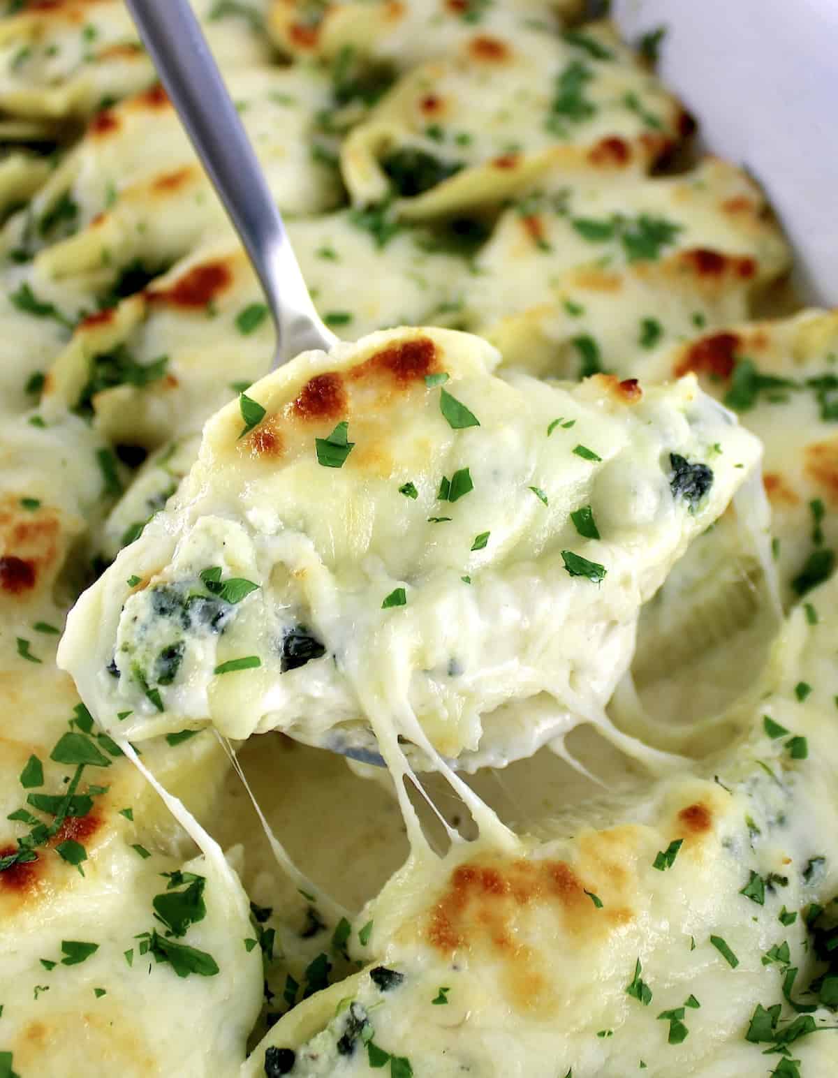 Artichoke Spinach Shells