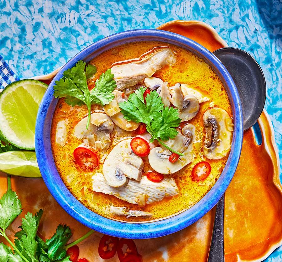 Thai Coconut Chicken Soup