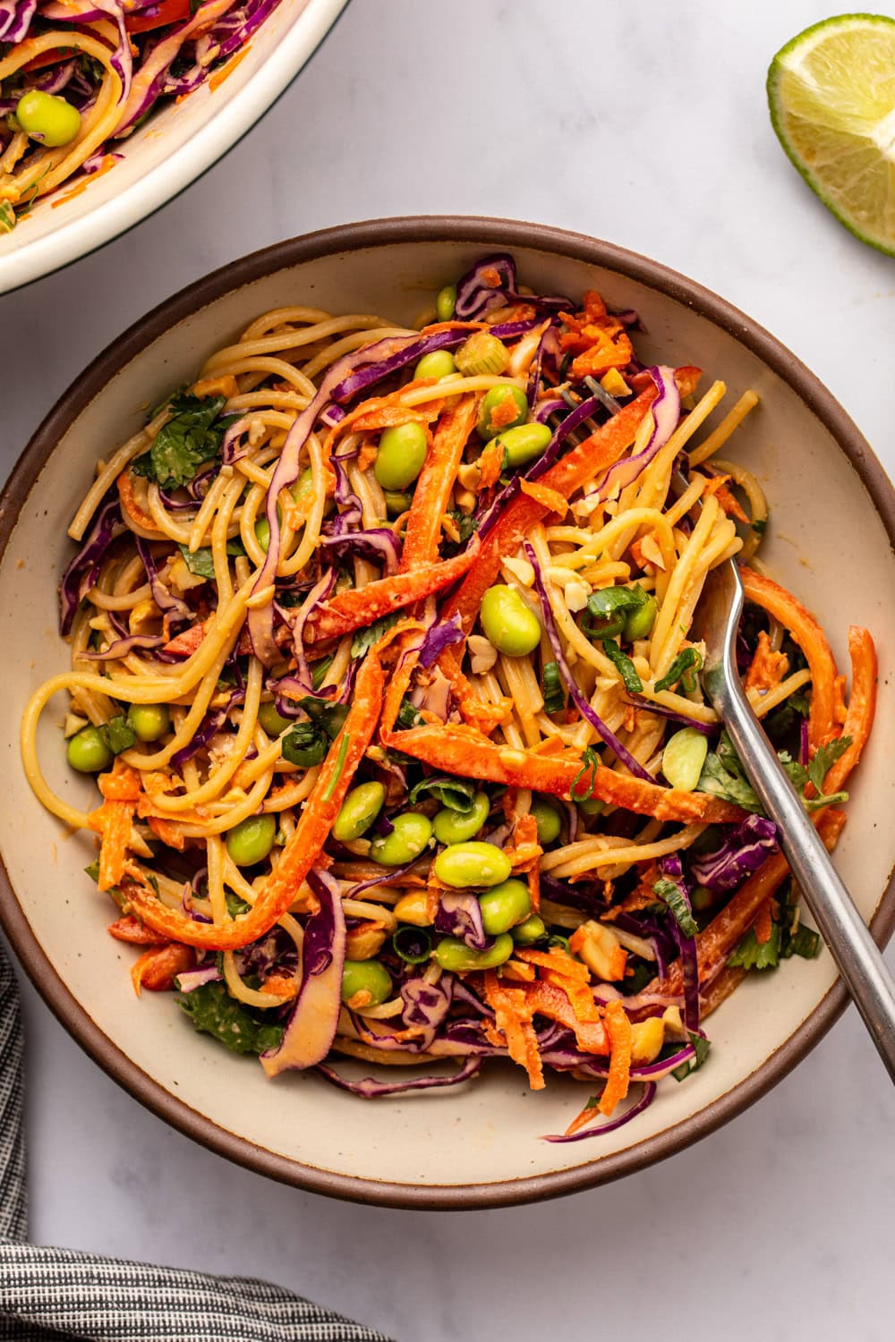 Thai Peanut Noodle Salad