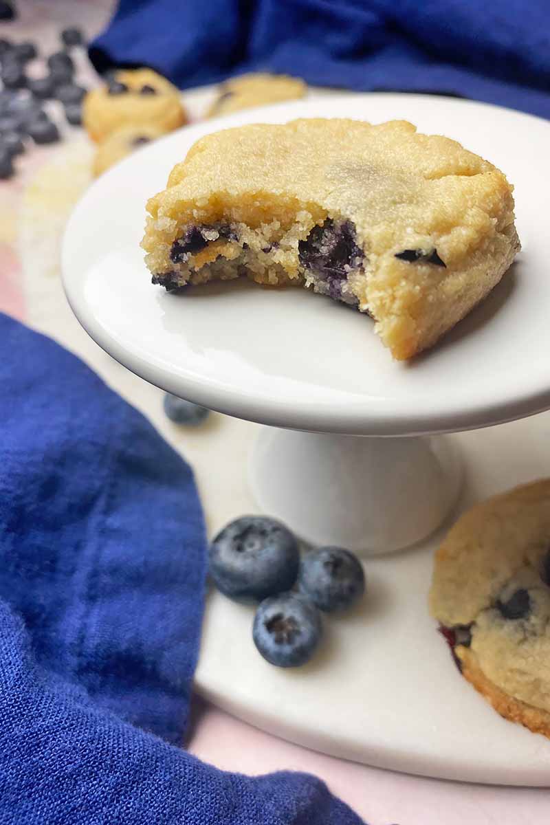Blueberry Honey Cookies