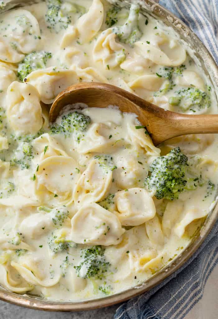 Classic Alfredo Tortellini