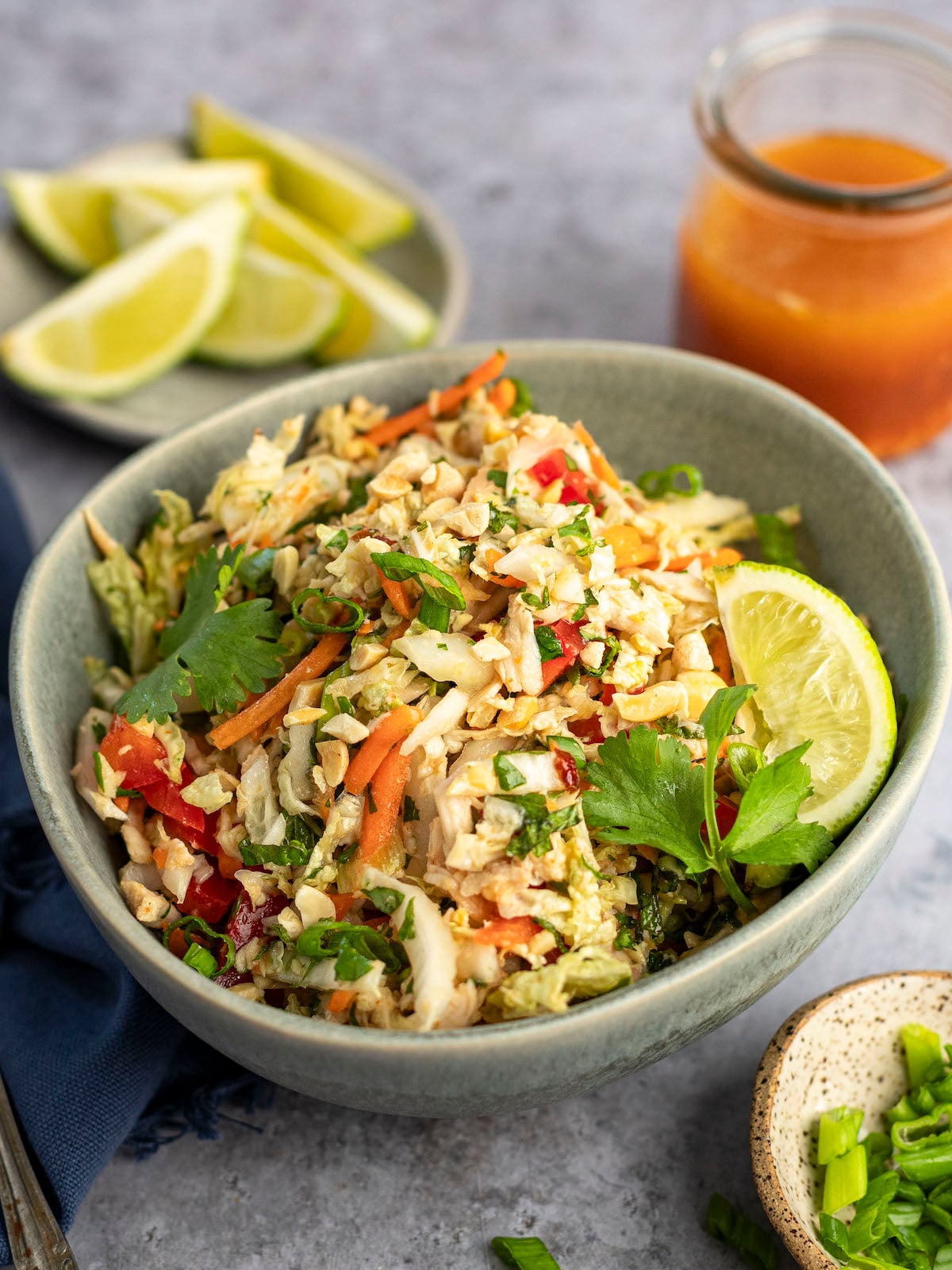 Vietnamese Shredded Chicken