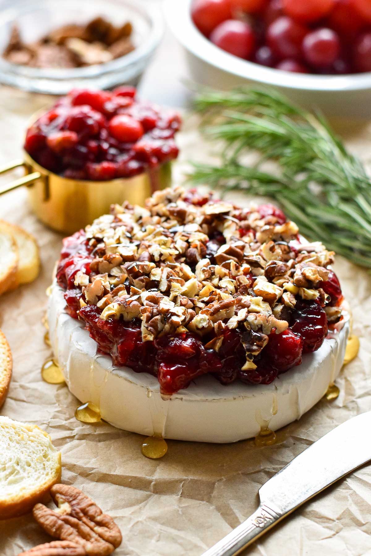 Crockpot Cranberry Brie Dip