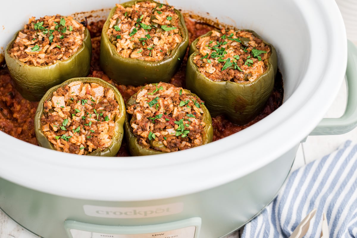 Stuffed Pepper Mixture