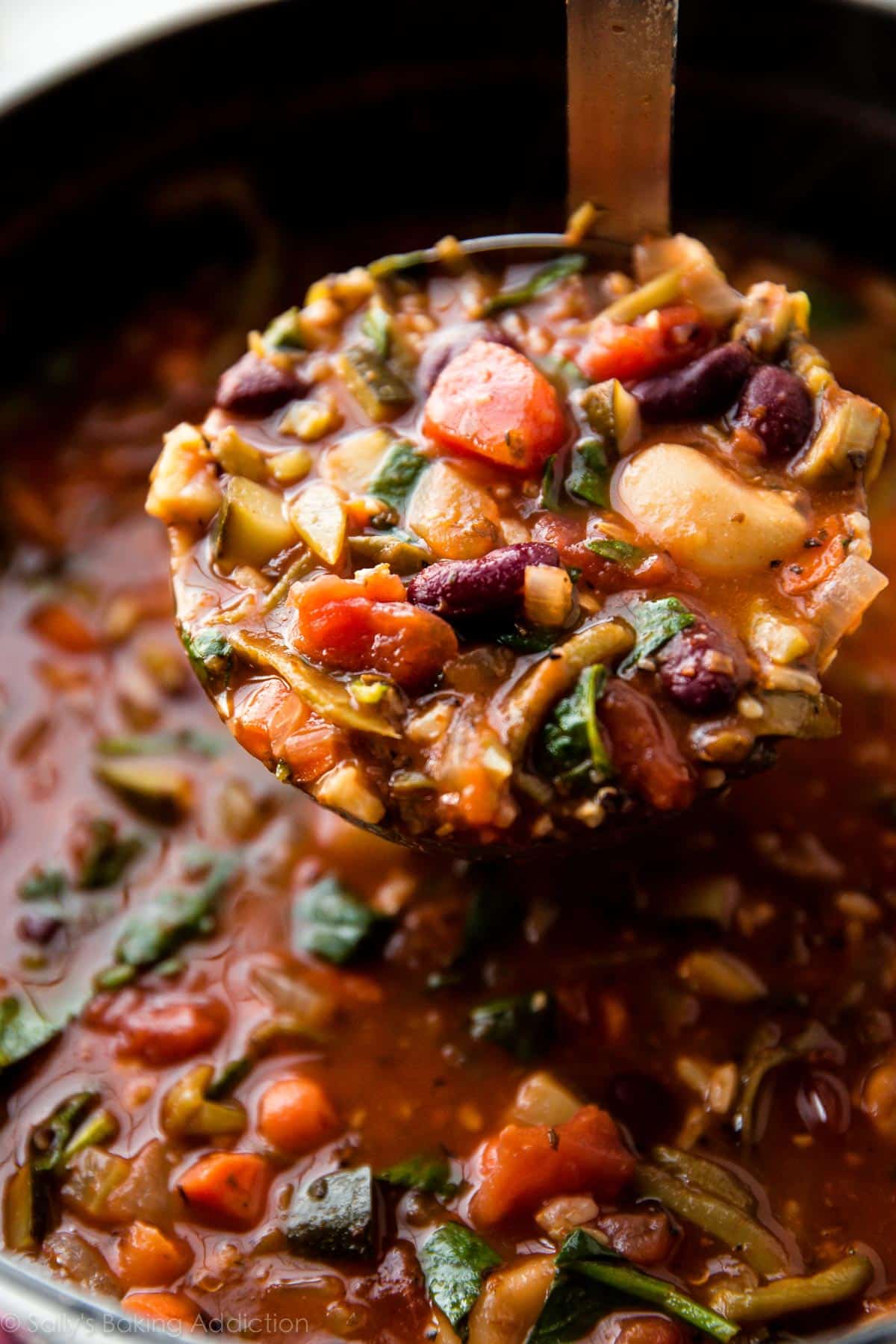 Ham and Vegetable Minestrone