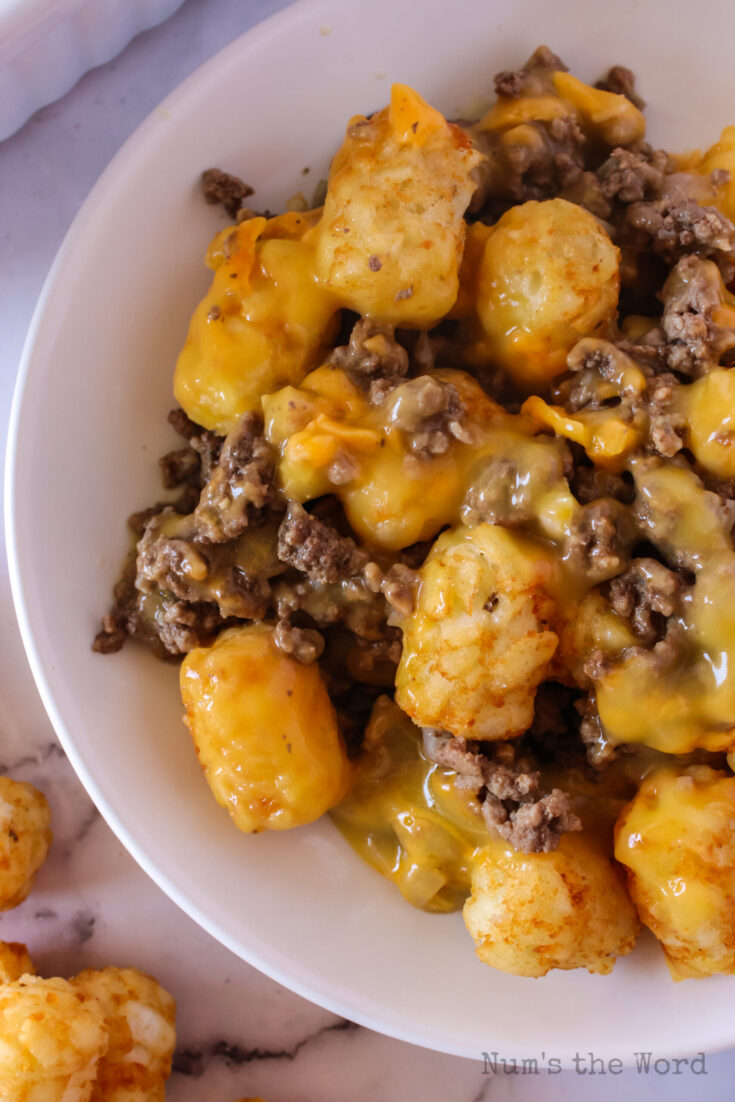 Tater Tot Casserole