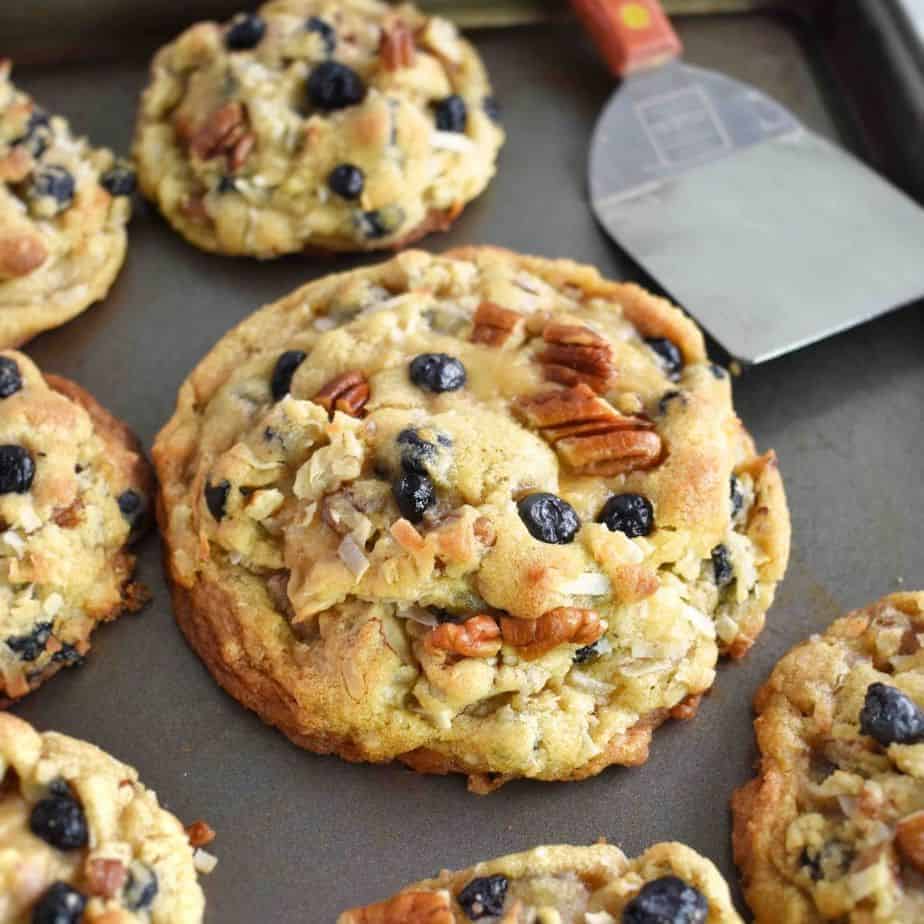 Blueberry Pecan Cookies