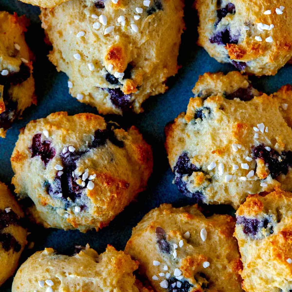 Blueberry Yogurt Cookies